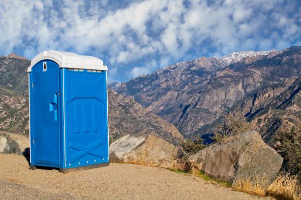 Best Sanitation services for porta potties  in La Nte, MO