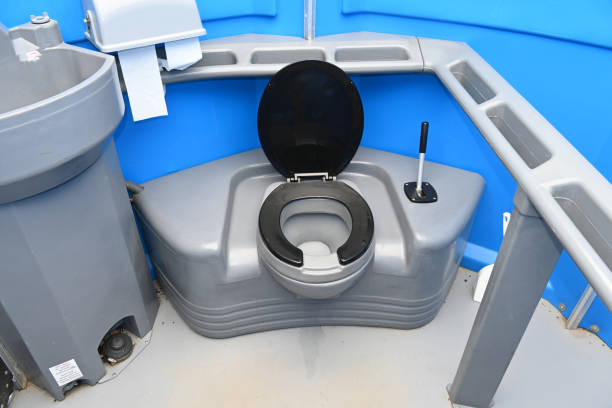 Best Handicap porta potty rental  in La Nte, MO